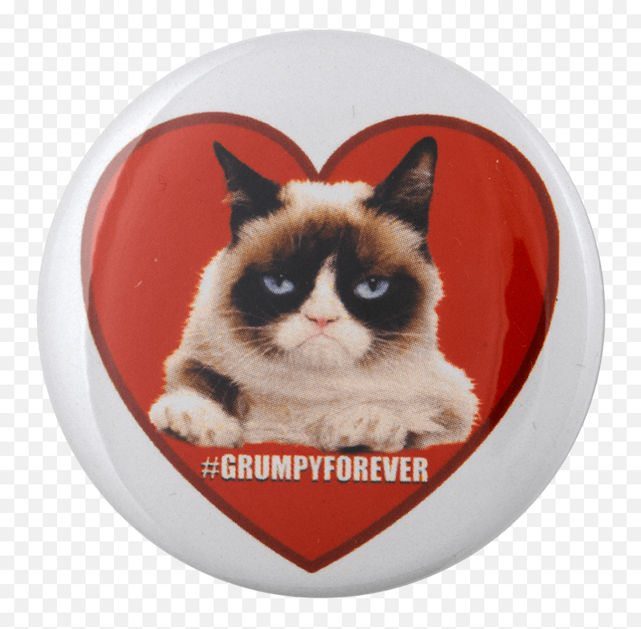 Grumpy Cat Forever Busy Beaver Button Museum - Grumpy Cat Png,Grumpy Cat Png