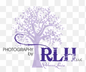 Sweet 16 By Creative Instinct U2014 Photography Rlh Llc Png