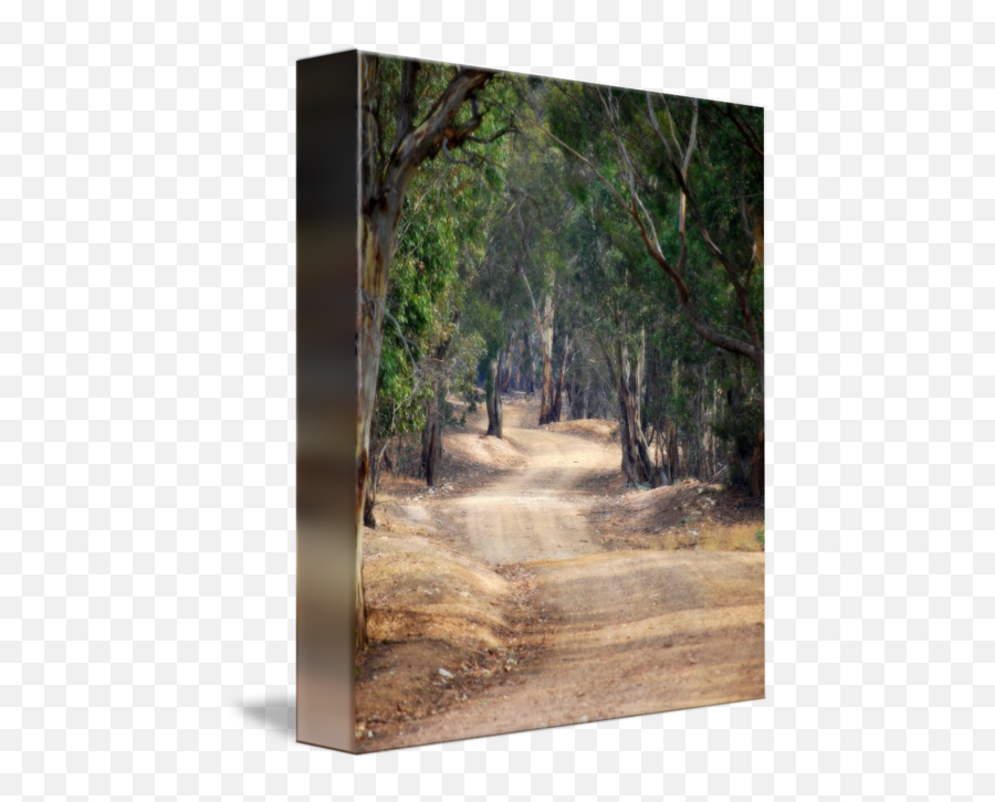 Winding Dirt Road Country Australia By L Stewart - Shade Png,Dirt Road Png
