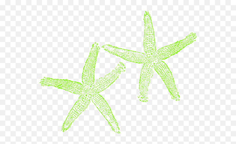 Download Lime Green Starfish Clipart Png For Web Image - Fish Clip Art,Starfish Clipart Transparent Background