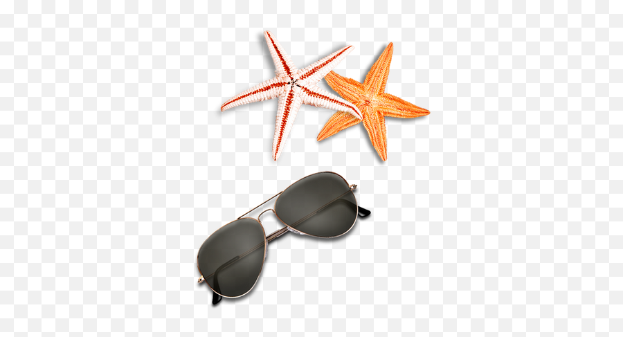 Starfish Png Images - Png Clipart Beach Elements Png,Starfish Png