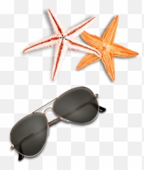 Starfish Png Images - Png Clipart Beach Elements Png,Starfish Png