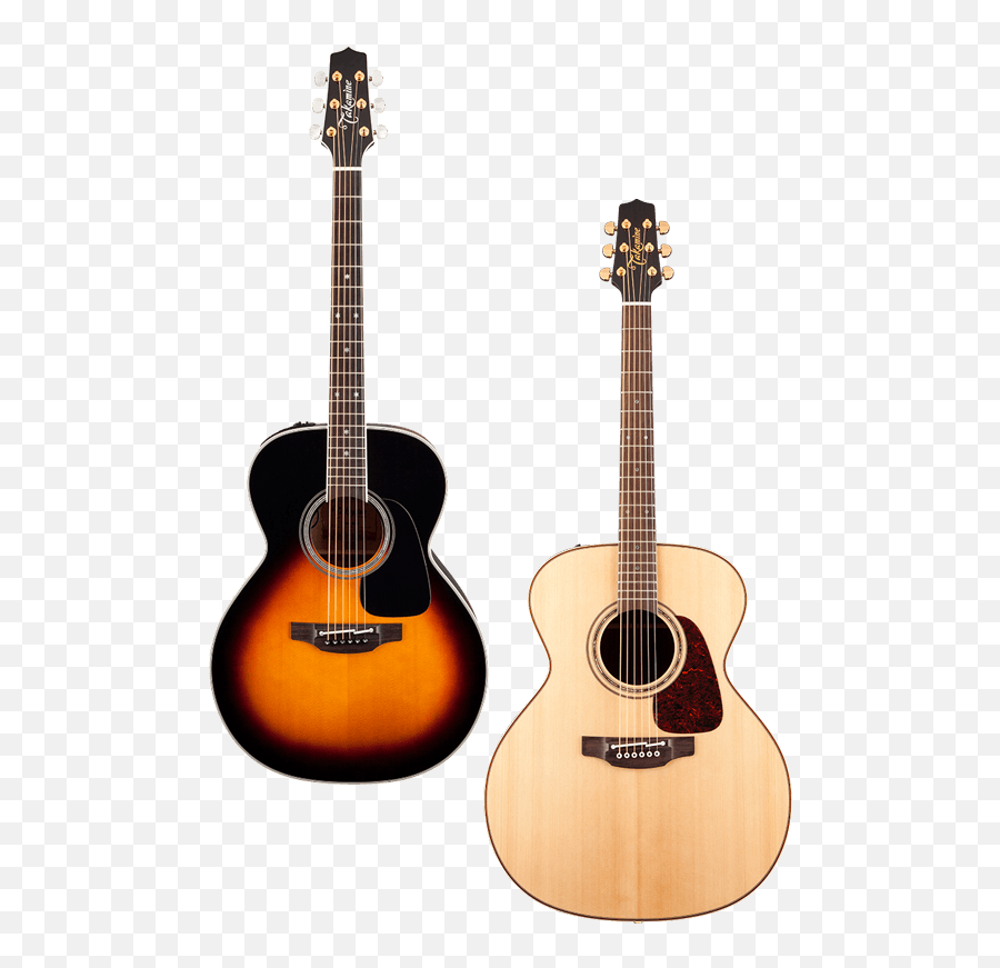 Takamine Guitars Worldwide - Takamine Acoustic Guitar Png,Guitar Logos