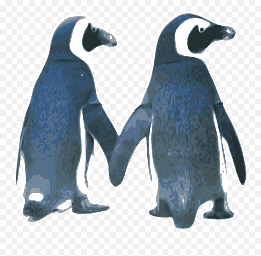 Penguins Png Clip Arts For Web - Clip Arts Free Png Backgrounds Wife Happy Engagement Anniversary,Penguins Png