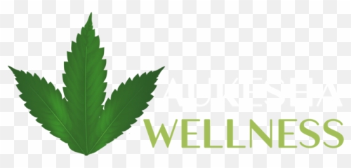 Waukesha Wellness Png