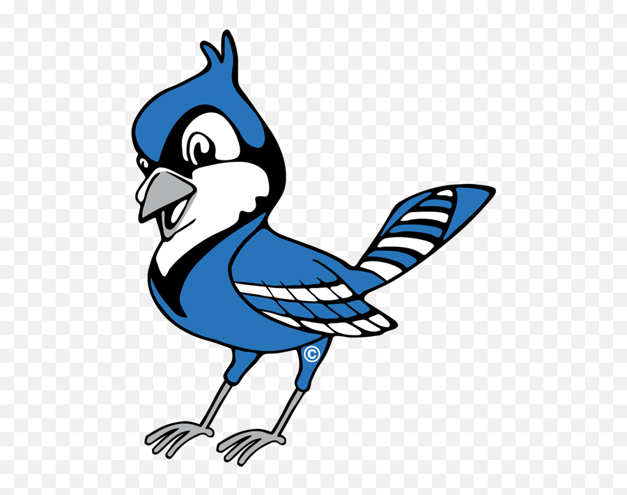 Blue Jay Logo - Cute Blue Jay Clipart Png,Blue Jays Logo Png