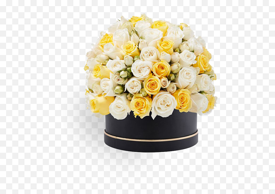 Buy Signature Box Of White And Yellow Roses In Uae - Joboy Bouquet Png,Yellow Roses Png