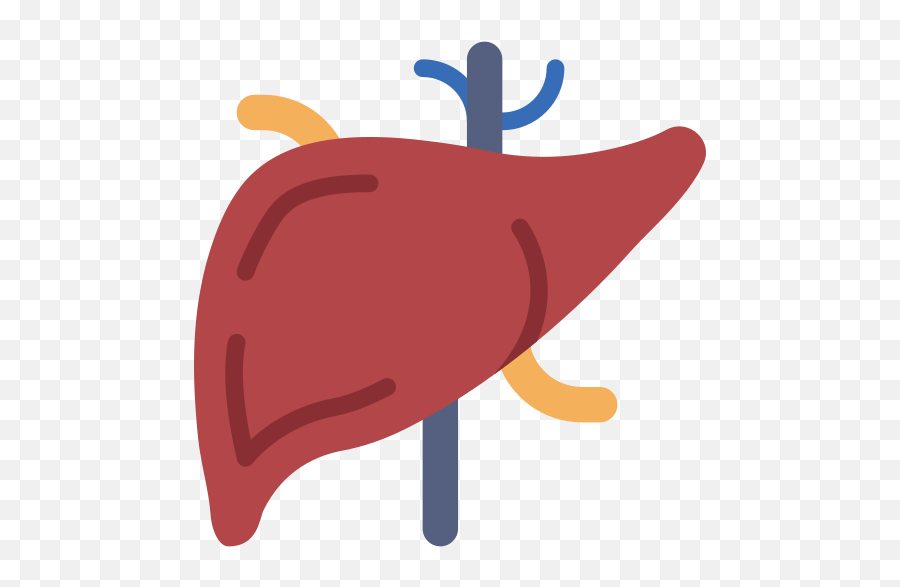 Vector Icons Designed - Liver Png,Liver Icon