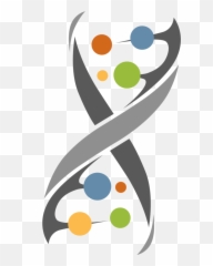Itag Sequencing - Joint Genome Institute Logo Clipart Full Department Of Energy Walnut Creek Usa png