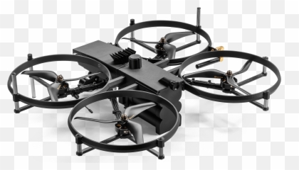 Lemur Drones Brinc Png