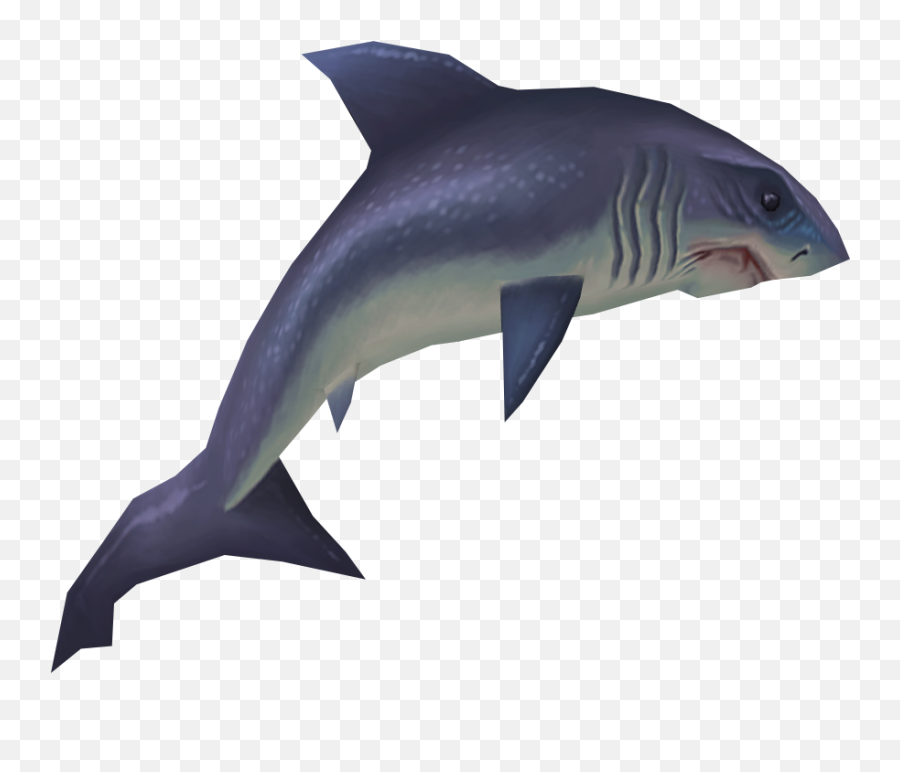 Raw Great White Shark - Runescape Great White Shark Png,Shark Png
