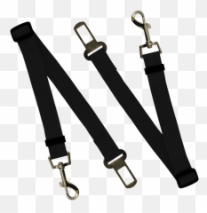 Image Hq Free Png Icon Favicon - Strap,Suspenders Png