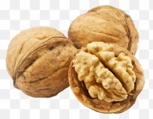 Image Png Walnut Transparent