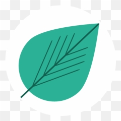 Koala Defi Version 2 Introduction To The Next Level - Horizontal png