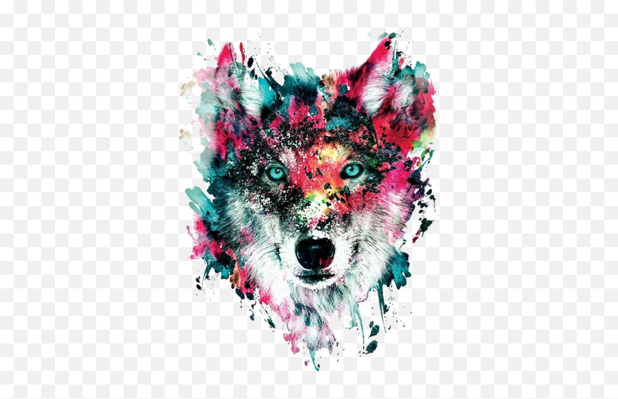 Wolf Face Colourful Png