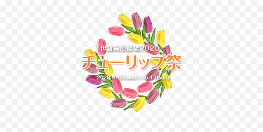 Serakogen Farm - Lady Tulip Png,Tulip Transparent