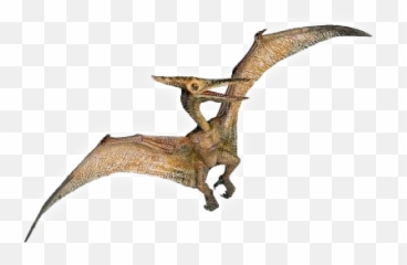 Picture - Pterodactyl Transparent Png,Pterodactyl Png