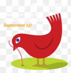 Early Vector Getty Graphics Images - Early Bird Flyers Png,Worm Png