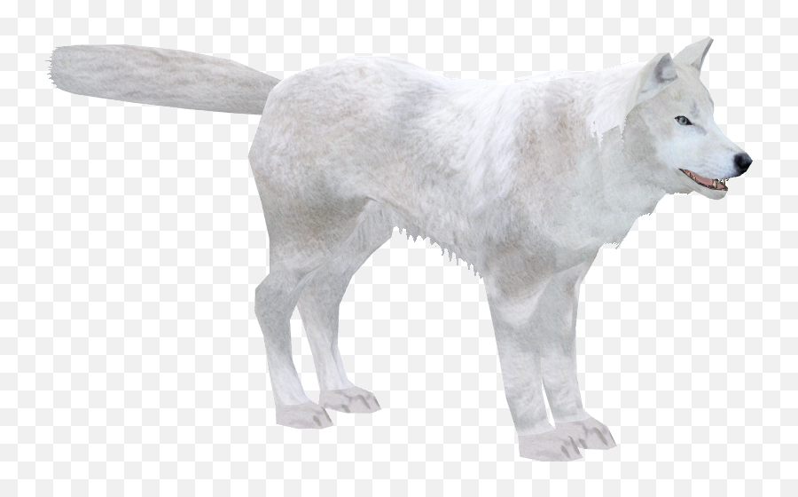 Arctic Wolf Png Image - Arctic Wolf Transparent Background,Wolf Png