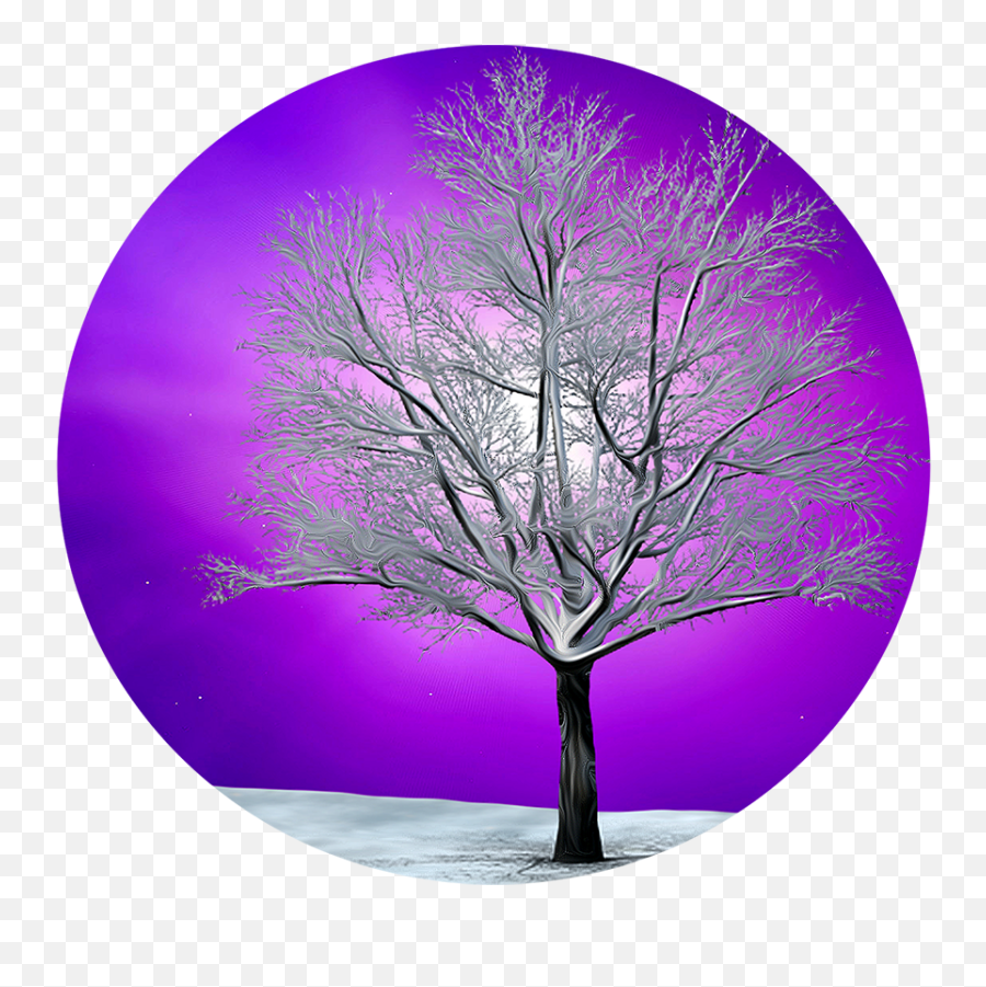 Celestial Winter Tree Transparent Clipart - Ccclipartsorg Circle Png,Winter Tree Png