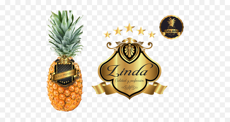 Sutrimex Slider Piña Linda Y Logo - Ananas Png,Piña Png