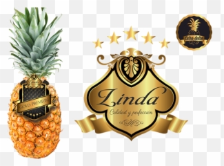 Sutrimex Slider Piña Linda Y Logo - Ananas Png,Piña Png