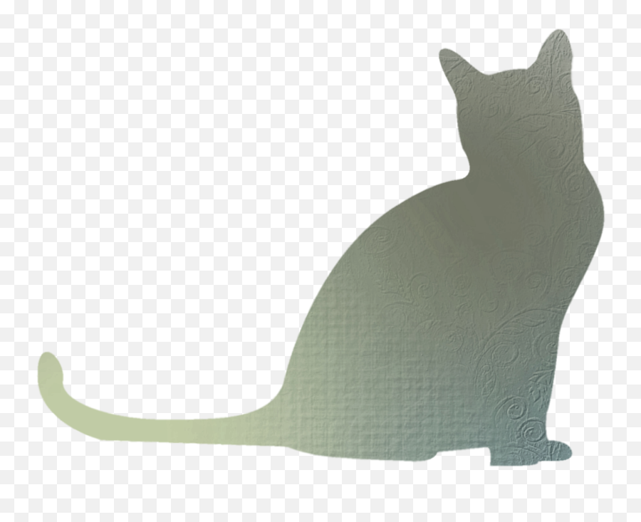 Png Whiskers Cat Shadow Clip Art - Sombra Gato Branco Png,Cat Whiskers Png
