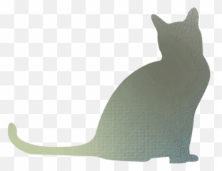 Png Whiskers Cat Shadow Clip Art - Sombra Gato Branco