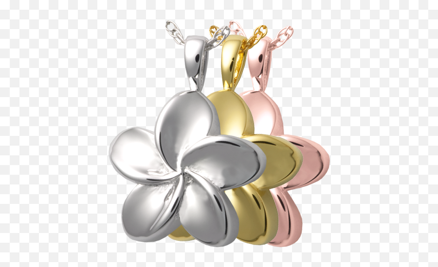 Plumeria Flower - Locket Png,Plumeria Flower Png