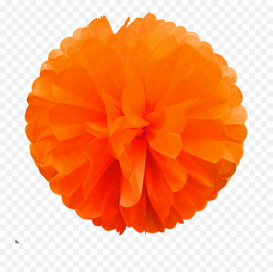 Orange Paper Pom - Ruffle Png,Pom Pom Png