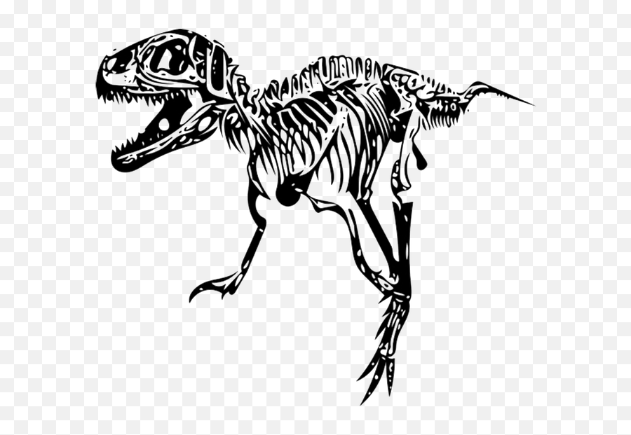 Tyrannosaurus T - Dibujos De Esqueletos De Dinosaurios T Rex Png,T Rex Png