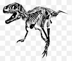 Tyrannosaurus T - Dibujos De Esqueletos De Dinosaurios T Rex Png,T Rex Png