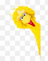 Beak Big Bird Feather Yellow - Transparent Background png