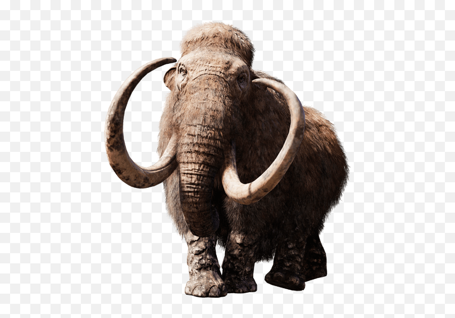 Mammoth Png Images In Collection - Far Cry Primal,Mammoth Png