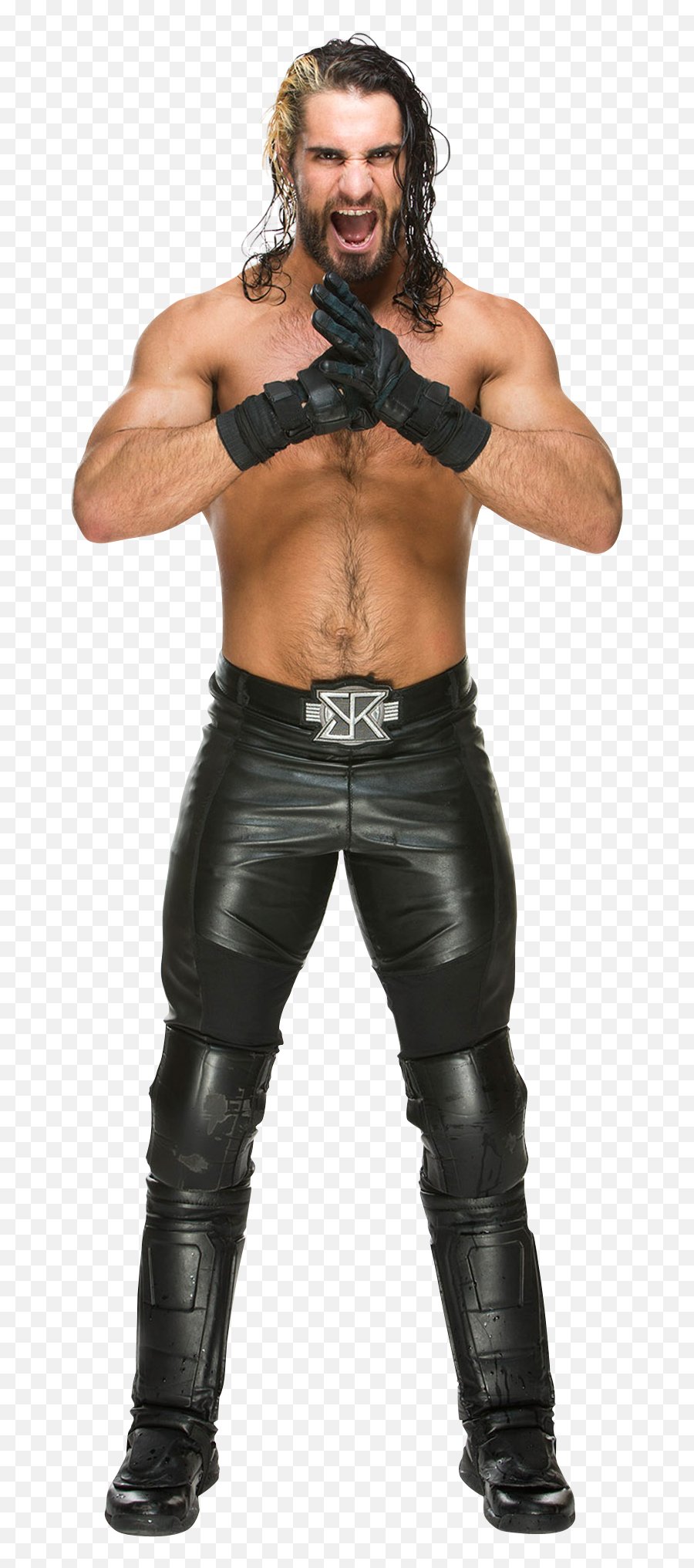 The pants worn by Seth Rollins in the WWE  Spotern