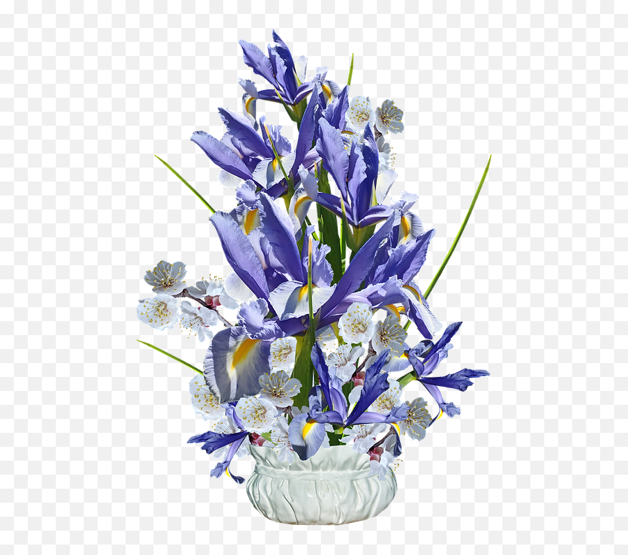 Flowers Blue Irises - Free Photo On Pixabay Netted Iris Png,Iris Flower Png