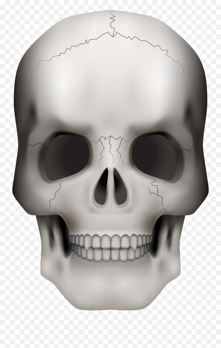 Free Png Skull Download Clip Art - Transparent Background Skull Transparent Png,Png Skull