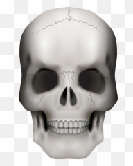 Free Png Skull Download Clip Art - Transparent Background Skull Transparent Png,Png Skull