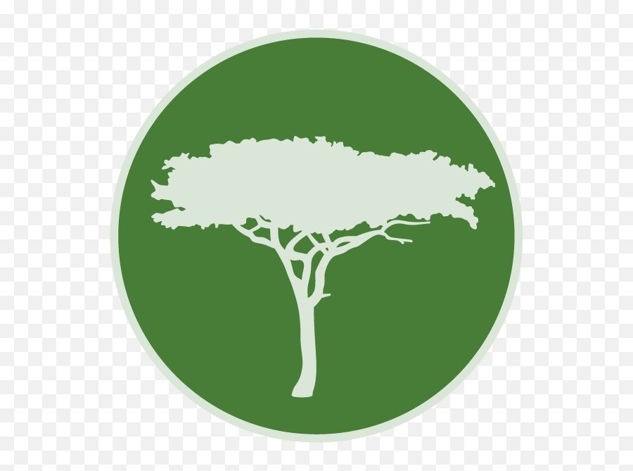 Annual Report 2019 U2014 Maliasili - Tree Png,Acacia Tree Icon