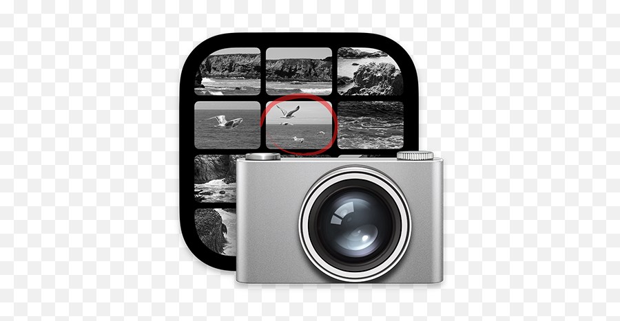 Image Capture User Guide For Mac - Apple Support Big Sur Image Capture Png,Film Icon Mac