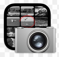 Image Capture User Guide For Mac - Apple Support Big Sur png