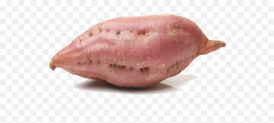 Download Sweet Potato Png Image - Sweet Potato Png,Potato Png