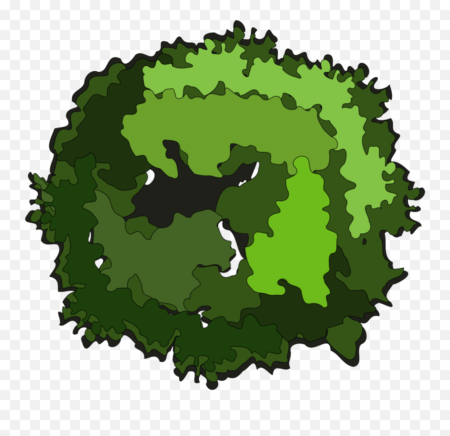 Trees From Above Png Image - Tree Top Png Clipart,Tree From Above Png