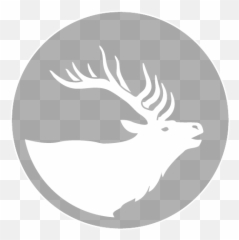 Brand Guidelines U2013 Tetra Hearing Devices For Hunting - Automotive Decal png