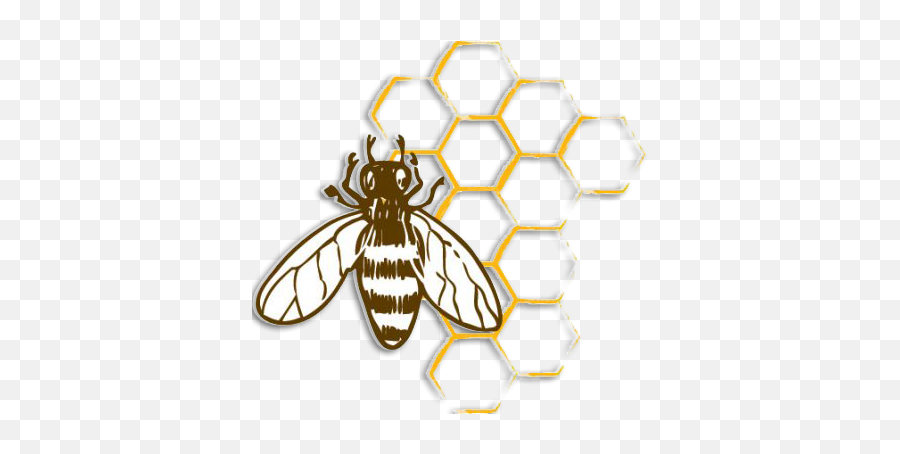 Contact - Questions Inquiries U0026 Information Tennessee Png,Honeybee Icon