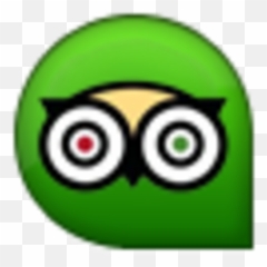 Trip Advisor Icon - Refurbished Nokia Lumia 630 Unlocked 8gb Leave Us Review On Tripadvisor png