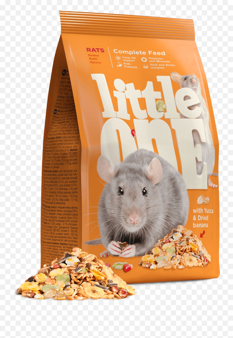 Little One Feed For Rats - Little One Png,Rats Png