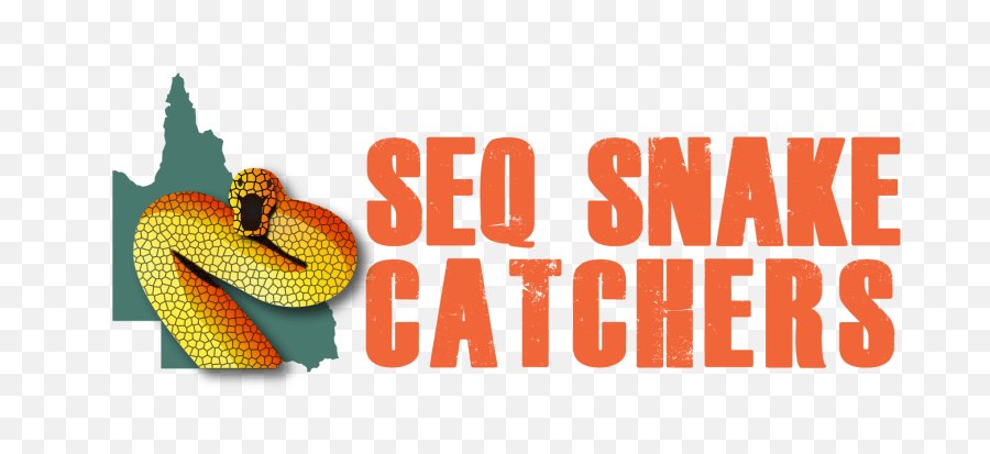 Blog Seq Snake Catchers - Ringneck Snake Png,Venom Snake Png