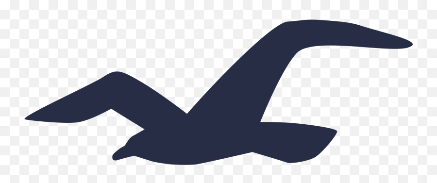 Meaning Hollister Logo And Symbol - Hollister Logo Png,Bird Logo