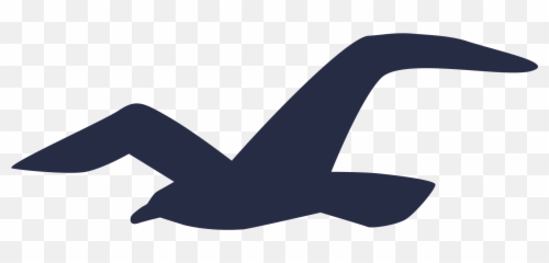 Meaning Hollister Logo And Symbol - png